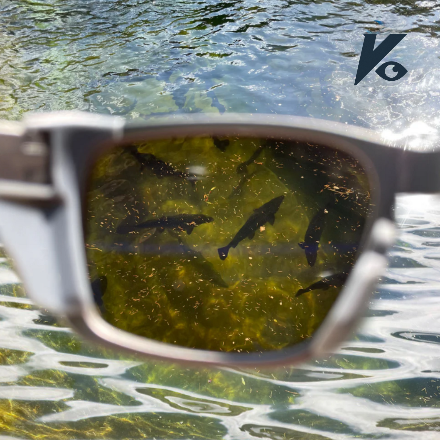 Aqua Optics Pro